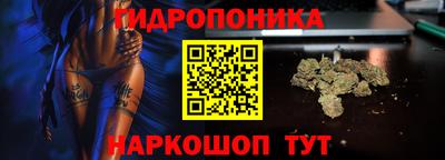 сатива Бузулук