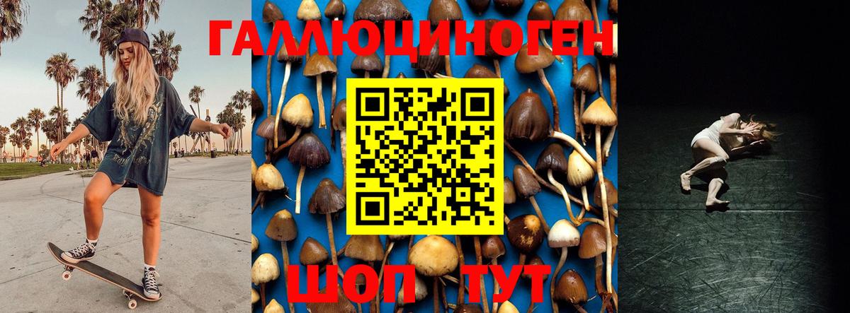 Псилоцибиновые грибы ЛСД  Вход с VPN  Псилоцибиновые грибы мухоморы  Кириши 